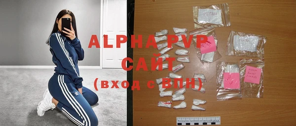 прущие грибы Балахна