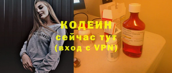 прущие грибы Балахна