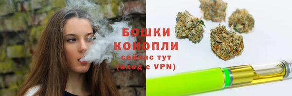 прущие грибы Балахна