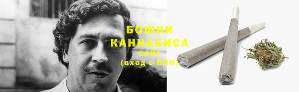 прущие грибы Балахна