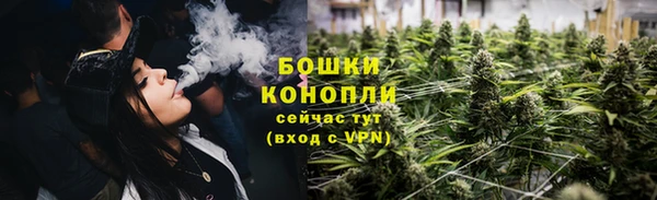 прущие грибы Балахна