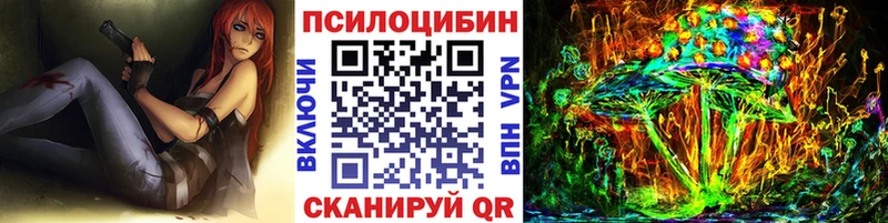 наркота  Заволжск  Галлюциногенные грибы Psilocybine cubensis 